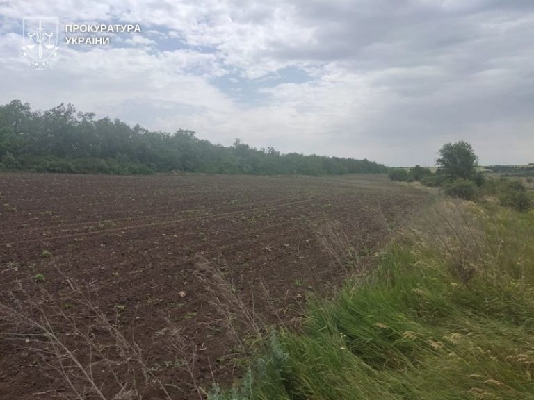 Скільки ділянок продали в Україні після старту земельної реформи 