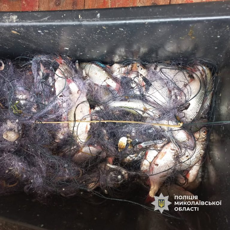 На лимані біля села у Миколаївській області чоловік піймав тарань, атерину, кефаль, бичка, глосу, пузанка та судака, а також креветки