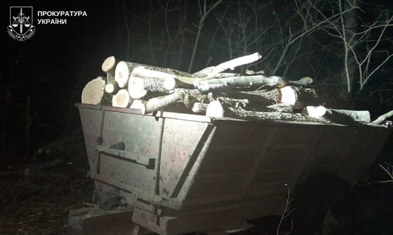 Семеро мешканців громади на Миколаївщині вирубали дерев на 2,7 млн грн