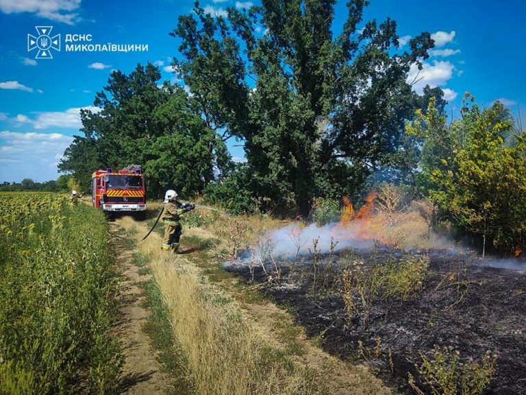 У громадах Миколаївщини за минулу добу виникло 48 пожеж