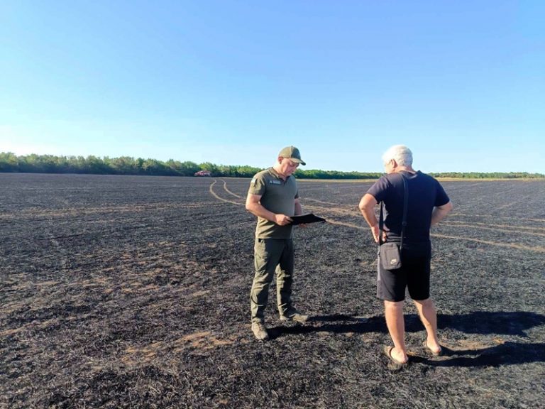 На Миколаївщині штрафують за спалювання пожнивних решток: порушнику доведеться сплатити 3060 гривень