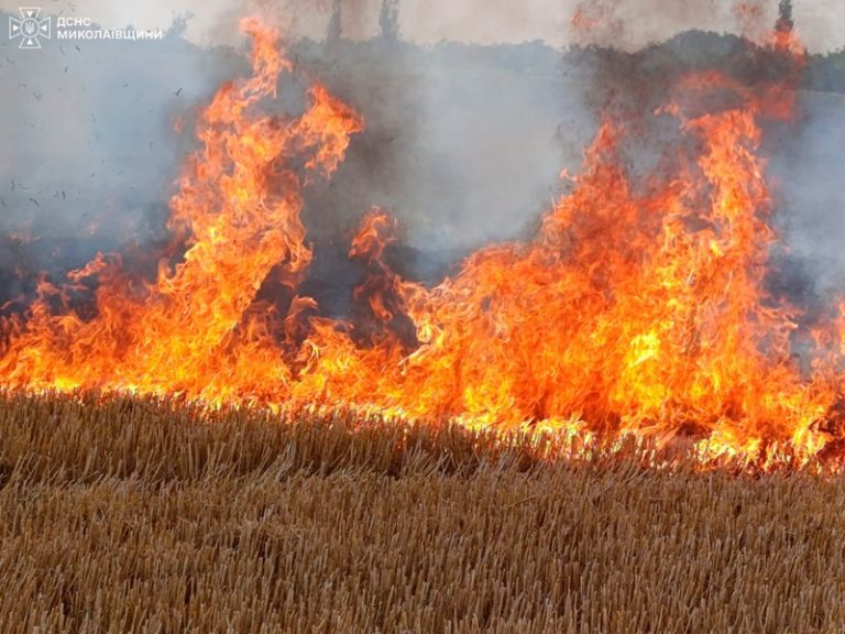 У Миколаєві згорів чоловік: за добу вогнеборці гасили 40 пожеж