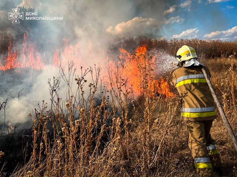 Будинок, автомобілі, чагарники: 44 пожежі виникло за добу на території громад Миколаївської області