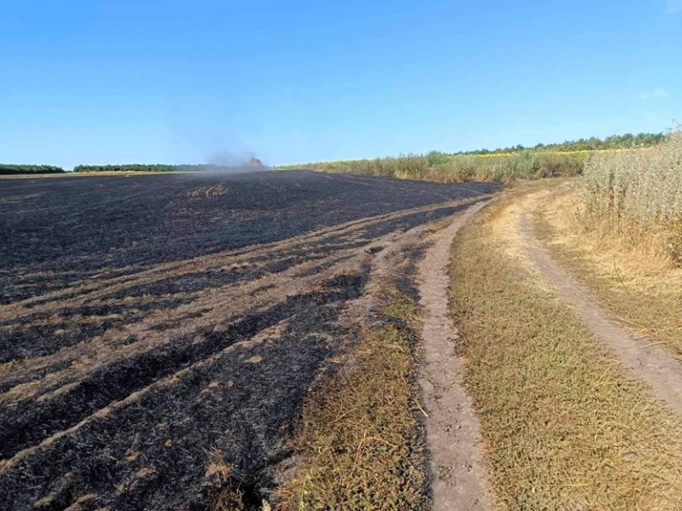 Підпалив стерню у громаді на Миколаївщині: порушник сплатить штраф