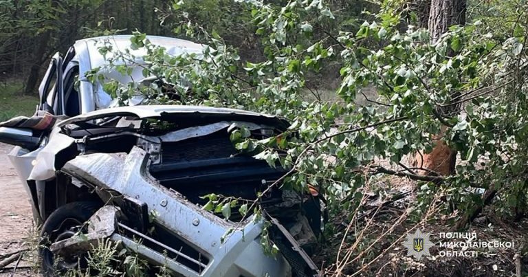 На Миколаївщині Chevrolet з’їхав із дороги та врізався в дерево: постраждали двоє людей