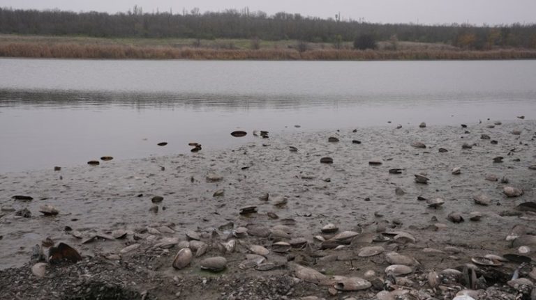 Підприємець здійснює незаконний вилов риби на водосховищі у громаді на Миколаївщині