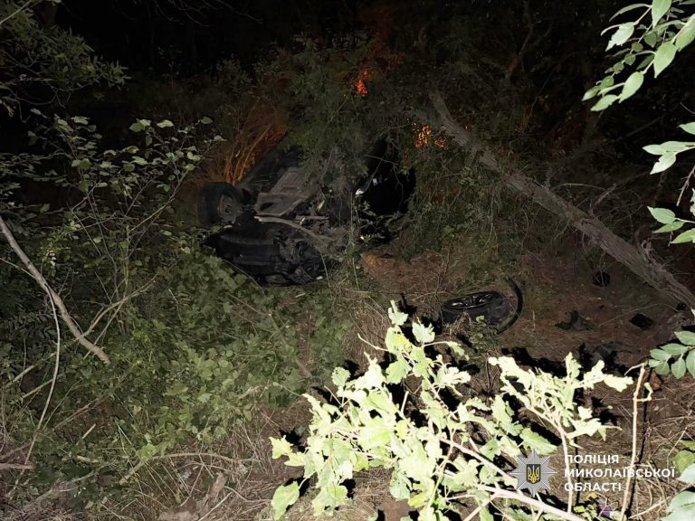 ДТП на Миколаївщині: загинув водій, травмувався пасажир кросовера